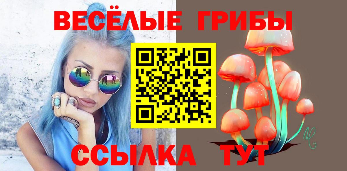 Ростов Великий  Псилоцибиновые грибы прущие грибы  Галлюциногенные грибы Magic Shrooms  Вход с VPN 
